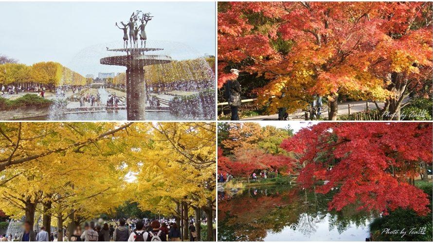 「国営昭和記念公園」の紅葉＆黄葉スポット